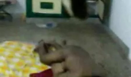 Tightest বাঙালি মেয়েদের চুদাচুদি ভিডিও fuckbox কখনও