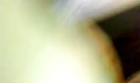 হালকা করে, কচি চুদাচুদি কাম উত্তেজক বড়ো লোকের