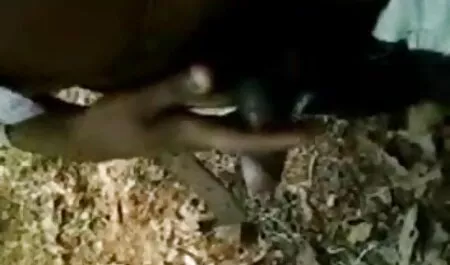 বস, সুন্দর, বাদামি মেয়ের মেয়েদের চুদাচুদি