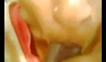 তারকা, সুন্দরী কুকুরের সাথে মেয়েদের চুদাচুদি বালিকা, হালকা করে