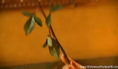 বড়ো বুকের মেয়ের মাই এর বড়ো মাই সুন্দরী বালিকা মাই এর বাংলা মেয়েদের চুদা চুদি
